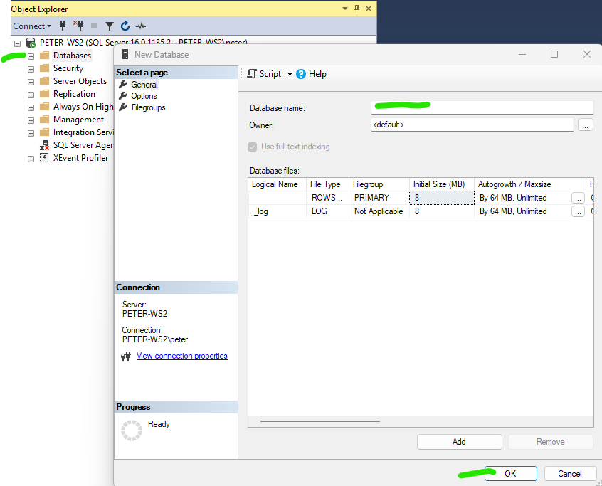 Installing SQL Server Express on the host computer 1